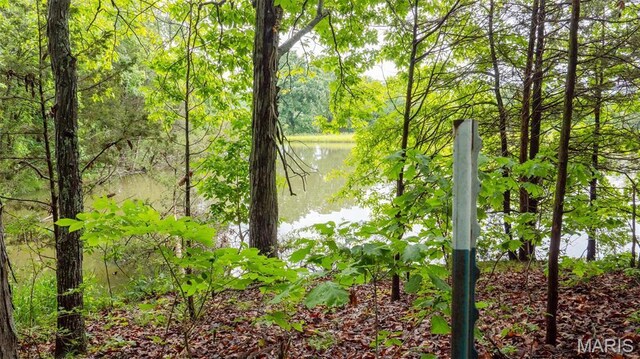 126 Rainbow Lake Dr, Villa Ridge, MO 63089 - photo 25