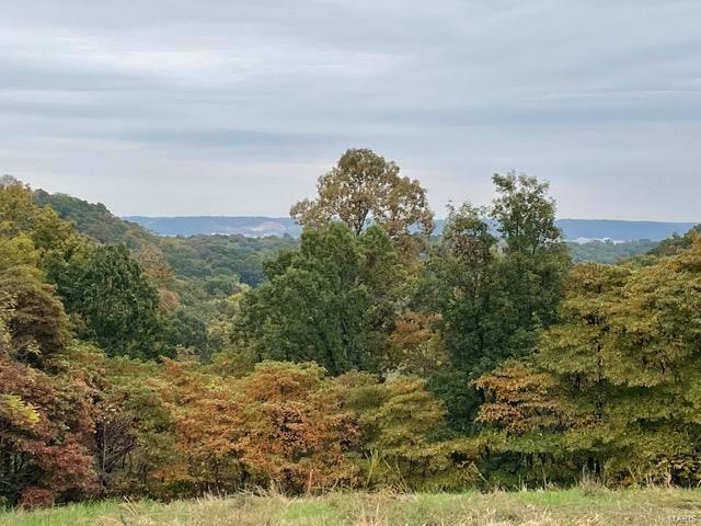 2388 Plummer Hill Rd, Hardin, IL 62047
