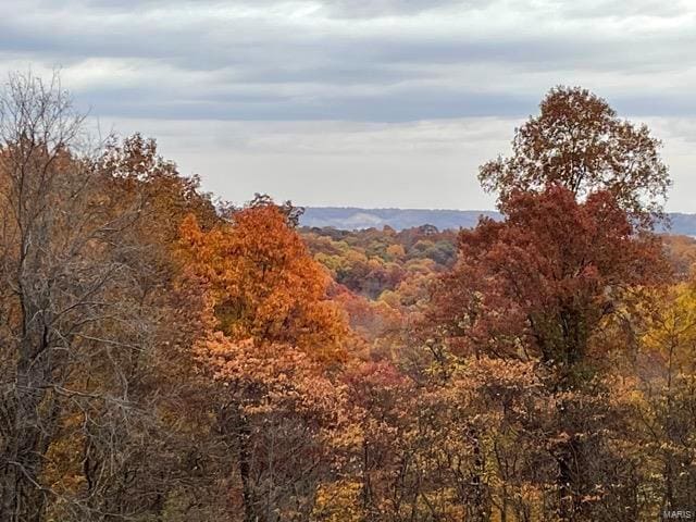 2388 Plummer Hill Rd, Hardin, IL 62047