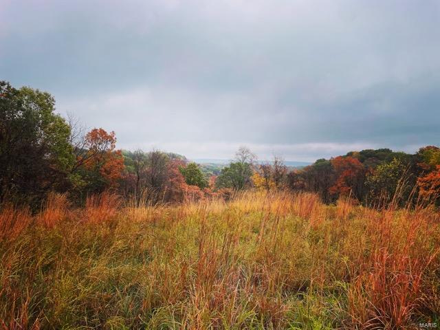 2388 Plummer Hill Rd, Hardin, IL 62047