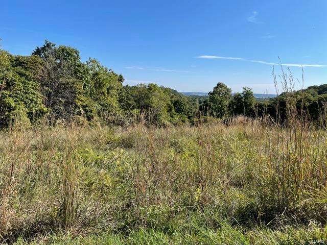 2388 Plummer Hill Rd, Hardin, IL 62047