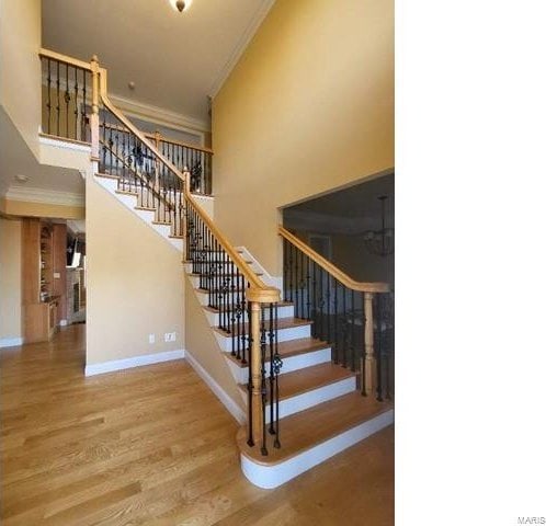 staircase featuring ornamental molding, baseboards, wood finished floors, and a high ceiling