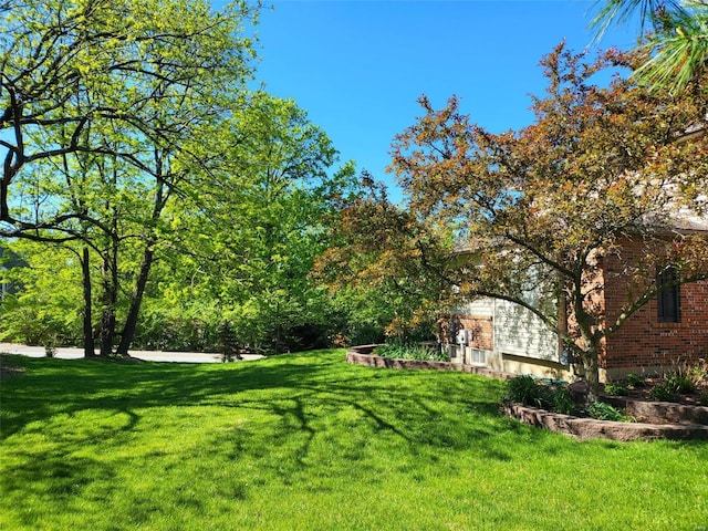 view of green lawn