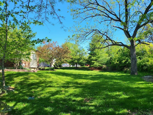 view of green lawn