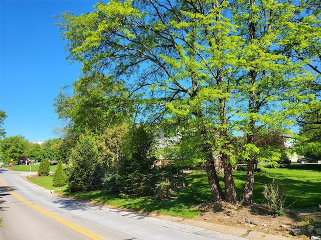 view of asphalt road