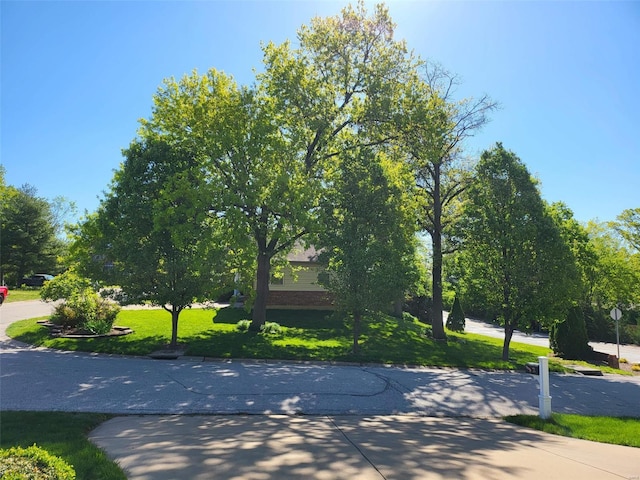 surrounding community with a lawn