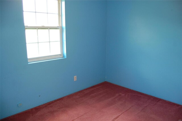 186 County Road 613, Broseley, MO 63932 - photo 13