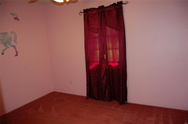 186 County Road 613, Broseley, MO 63932 - photo 14