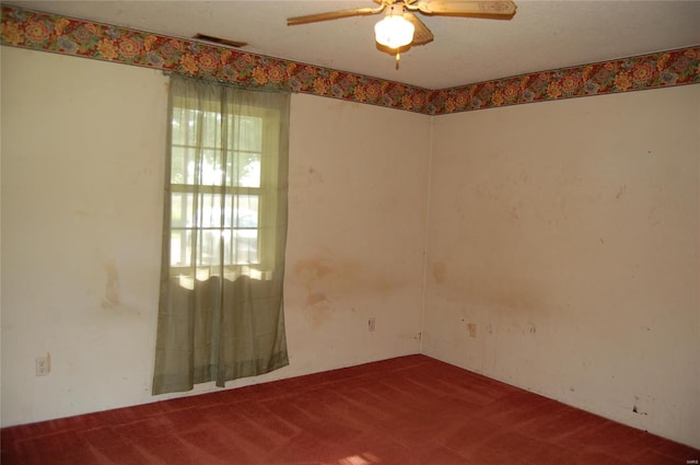 186 County Road 613, Broseley, MO 63932 - photo 15