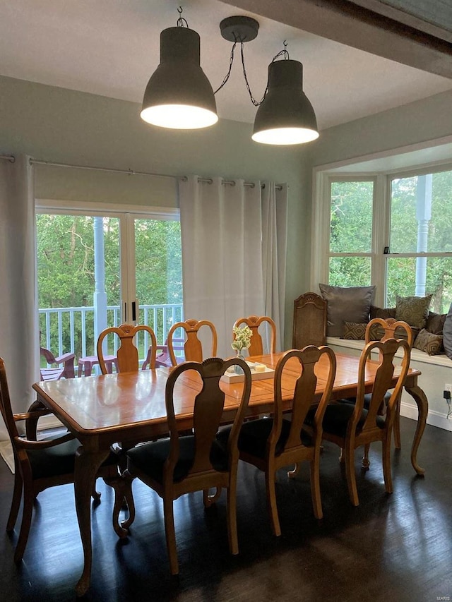 27302 Cimarron Dr, Roaring River Township, MO 65641 - dining area with healthy amount of natural light and dark wood-style floors