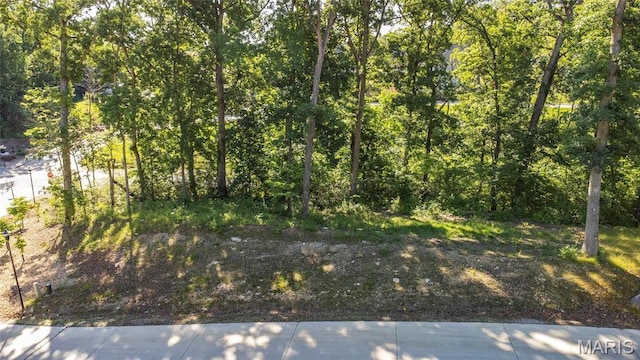 202 Ella Rose Ln, Saint Charles, MO 63304