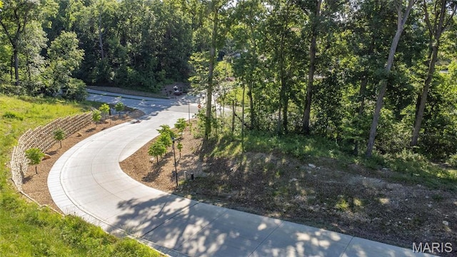 202 Ella Rose Ln, Saint Charles, MO 63304
