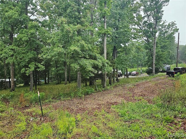 6412 Midmeadow Ln, French Village, MO 63036 - photo 3