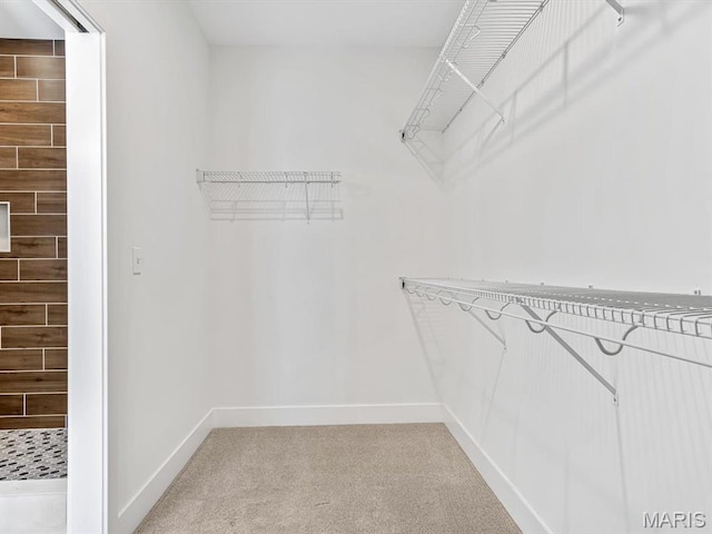 3106 Ashley Dr, Glen Carbon, IL 62034 - spacious closet with light carpet