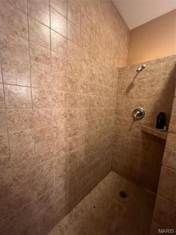 1001 S Main St, Lockwood, MO 65682 - bathroom featuring a tile shower