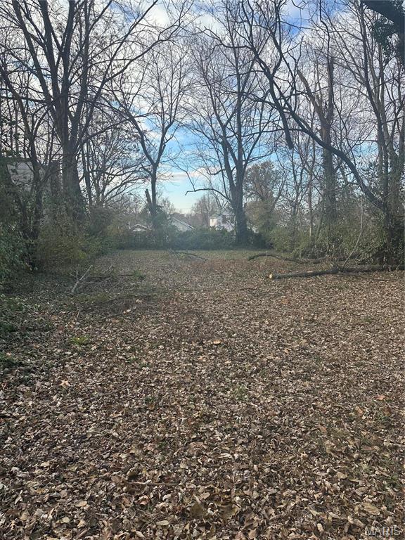 2020 Mclaran Ave, Saint Louis, MO 63136 - photo 20