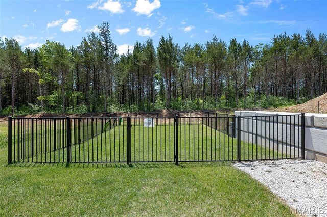 0 Hickory Lndg, De Soto, MO 63020 - view of yard
