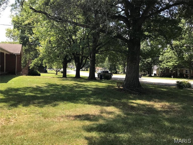 1202 S Gertrude St, Salem, MO 65560 - view of green lawn