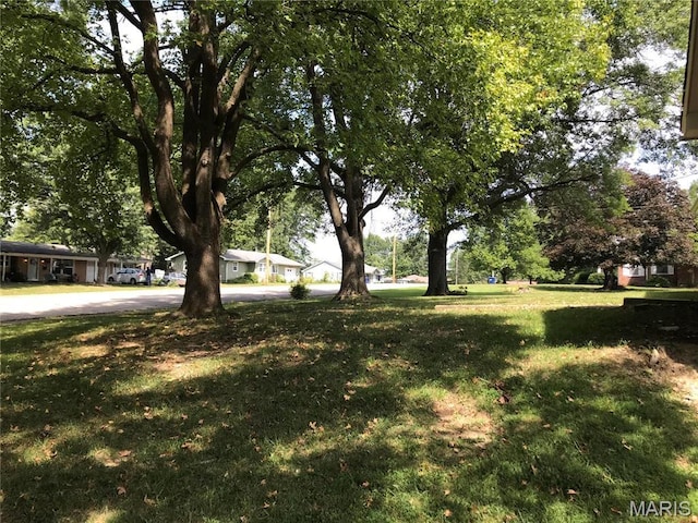 1202 S Gertrude St, Salem, MO 65560 - view of grassy yard