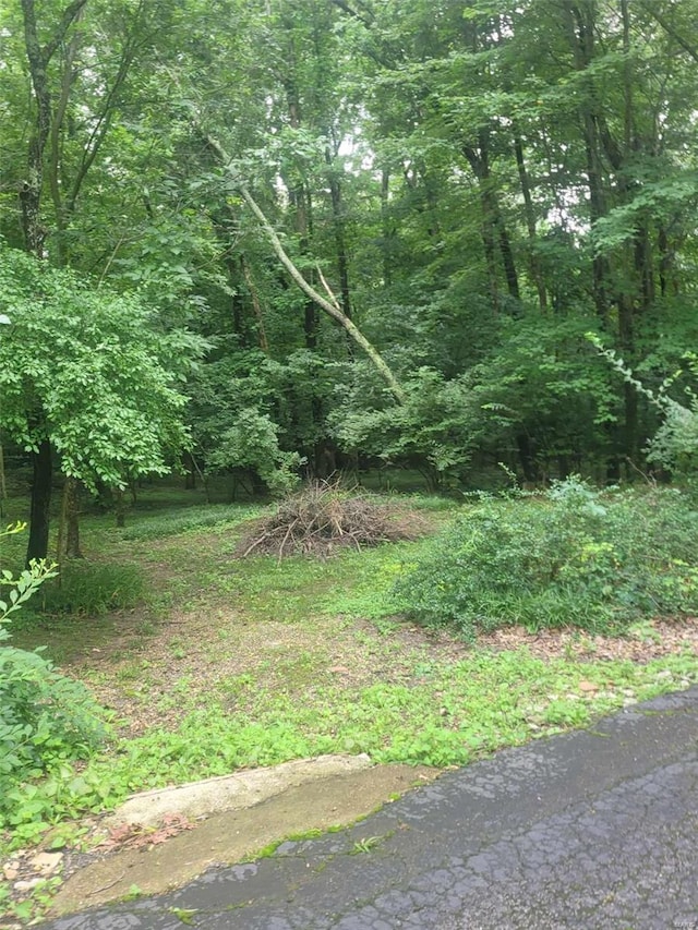view of yard with a wooded view