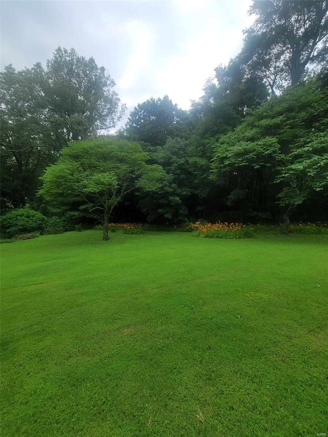 view of grassy yard