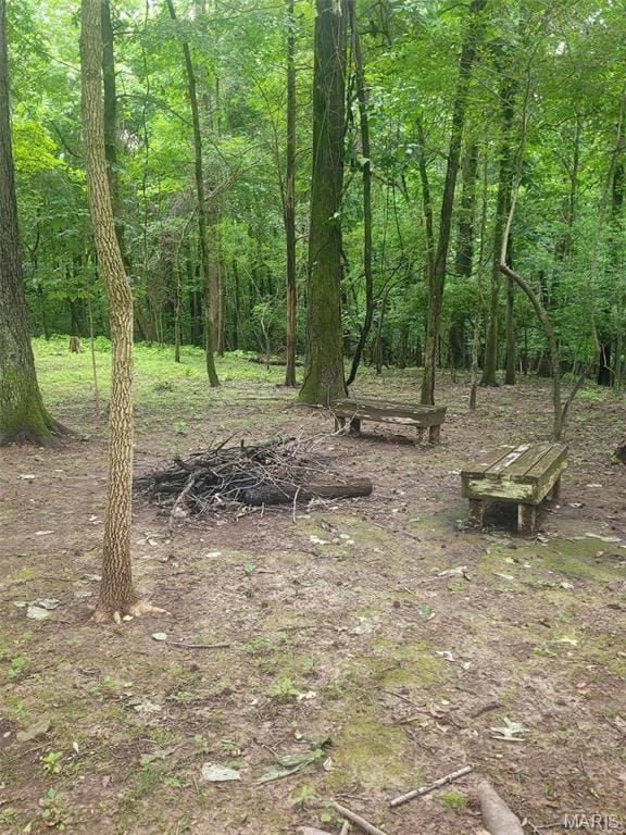 16225 Shady Ln, Dexter, MO 63841 - view of woods