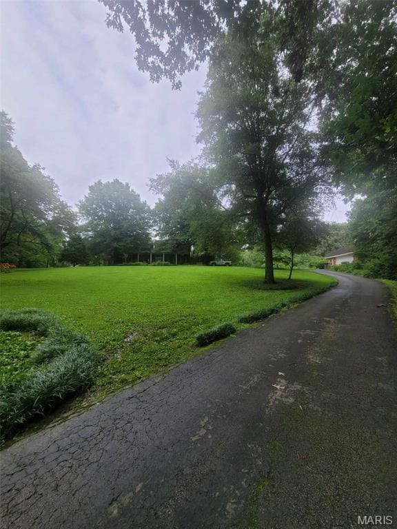 16225 Shady Ln, Dexter, MO 63841 - view of asphalt road