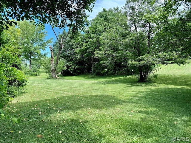 0 State Route 159 S, Glen Carbon, IL 62034