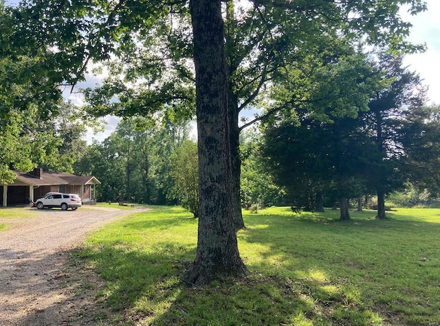 131 W Outer Rd, Poplar Bluff, MO 63901 - view of grassy yard with dirt driveway