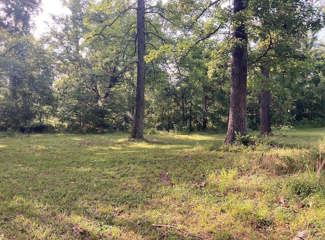 131 W Outer Rd, Poplar Bluff, MO 63901 - view of tree filled area