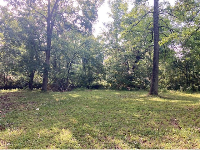 131 W Outer Rd, Poplar Bluff, MO 63901 - view of green lawn with a wooded view