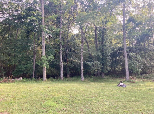 131 W Outer Rd, Poplar Bluff, MO 63901 - view of grassy yard featuring a view of trees