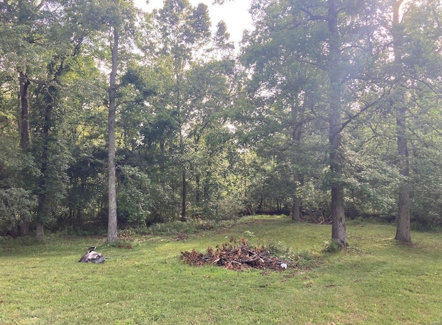 131 W Outer Rd, Poplar Bluff, MO 63901 - view of grassy yard featuring a view of trees