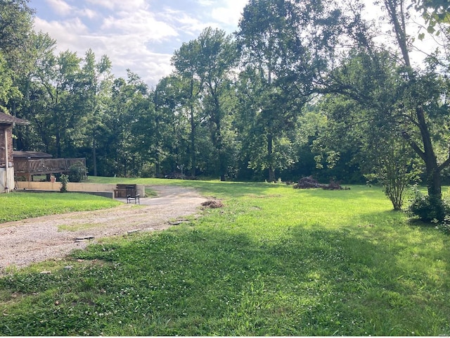 131 W Outer Rd, Poplar Bluff, MO 63901 - view of green lawn