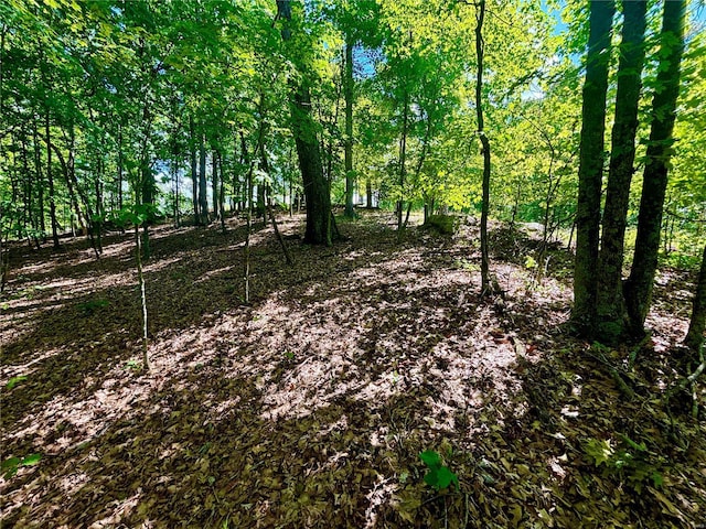 5022 Squire Ln, Cedar Hill, MO 63016