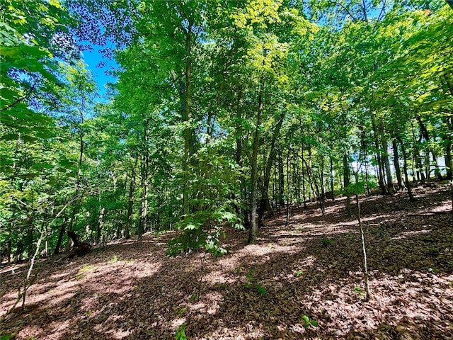 5022 Squire Ln, Cedar Hill, MO 63016