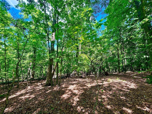 5022 Squire Ln, Cedar Hill, MO 63016