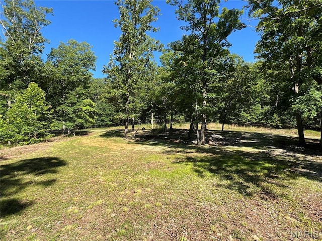 7037 Lake Point Dr, Perryville, MO 63775