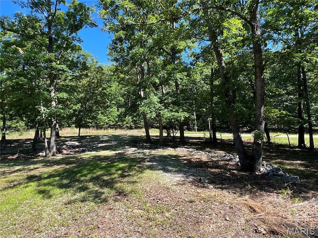 7037 Lake Point Dr, Perryville, MO 63775