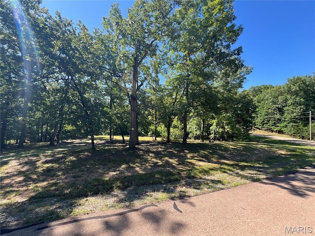 7037 Lake Point Dr, Perryville, MO 63775