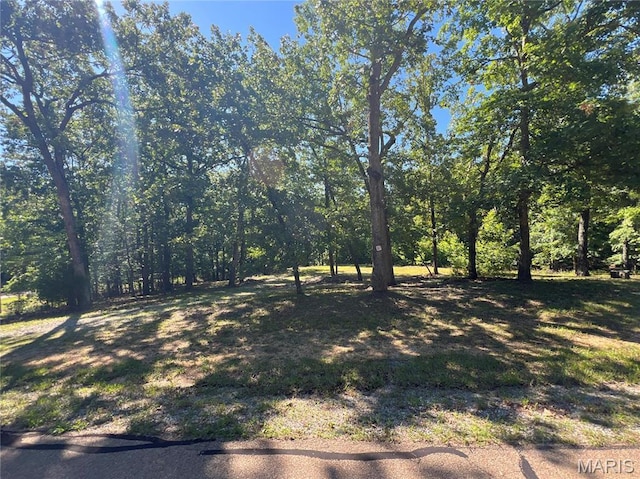 7037 Lake Point Dr, Perryville, MO 63775
