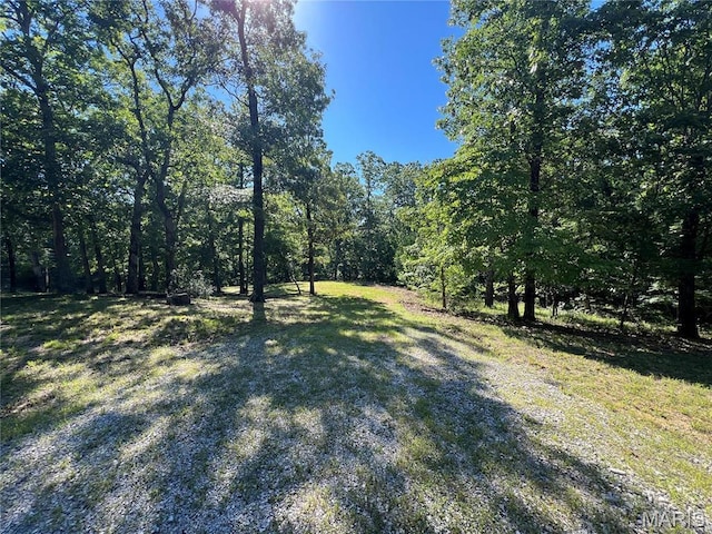 7037 Lake Point Dr, Perryville, MO 63775