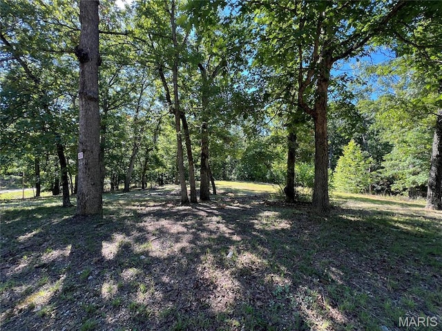 7037 Lake Point Dr, Perryville, MO 63775
