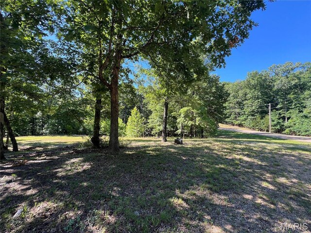 7037 Lake Point Dr, Perryville, MO 63775