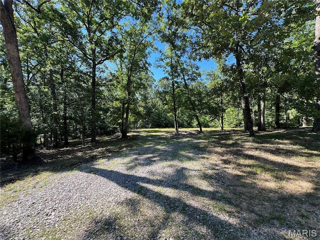 7037 Lake Point Dr, Perryville, MO 63775