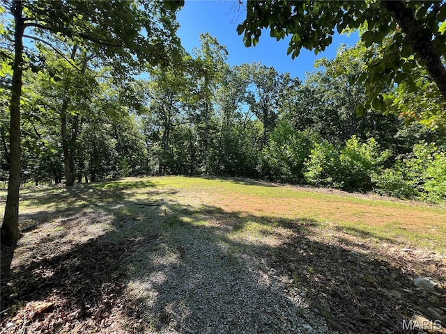7037 Lake Point Dr, Perryville, MO 63775