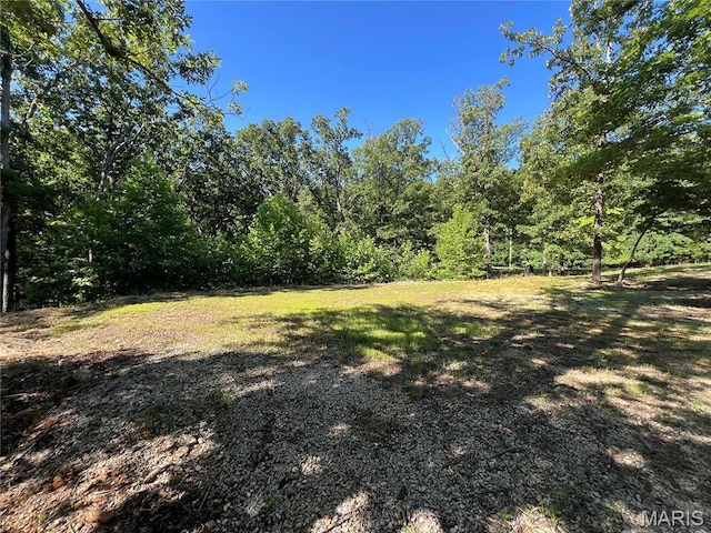 7037 Lake Point Dr, Perryville, MO 63775