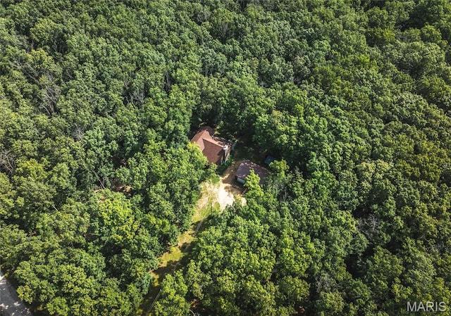 232 Timber Glen Rd, Steelville, MO 65565 - photo 2