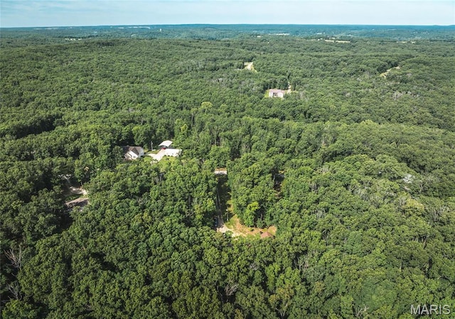 232 Timber Glen Rd, Steelville, MO 65565 - photo 3