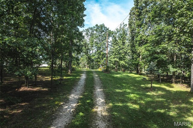 232 Timber Glen Rd, Steelville, MO 65565 - photo 5